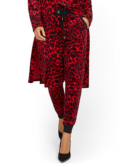 Leopard-Print Velour Jogger Pant - Dreamy Velour Collection - New York & Company